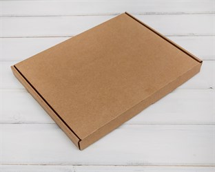 Коробка плоская, 30,5х23,5х2,5 см, крафт