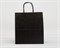 УЦЕНКА Крафт пакет бумажный, 31х28х14 см, с кручеными ручками, черный У0703024-УЦ - фото 11485 УЦЕНКА Крафт пакет бумажный, 31х28х14 см, с кручеными ручками, черный У0703024-УЦ - фото 11485