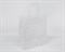 Пакет бумажный, 25х22х12 см, с кручеными ручками, белый У0703034 - фото 11602 Пакет бумажный, 25х22х12 см, с кручеными ручками, белый У0703034 - фото 11602