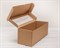 УЦЕНКА Коробка для кукол, с окошком, 45х16х16 см, крафт У0102032-УЦ - фото 14797 УЦЕНКА Коробка для кукол, с окошком, 45х16х16 см, крафт У0102032-УЦ - фото 14797