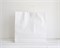 Пакет бумажный, 45х44,5х15 см, с кручеными ручками, белый У0703055 - фото 15557