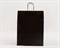Пакет бумажный, 45х35х15 см, с кручеными ручками, черный У0703027 - фото 9586 Пакет бумажный, 45х35х15 см, с кручеными ручками, черный У0703027 - фото 9586