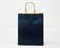 Пакет подарочный, 26х21х10 см, с кручеными ручками, синий У0702006 - фото 9952 Пакет подарочный, 26х21х10 см, с кручеными ручками, синий У0702006 - фото 9952