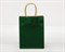 Пакет подарочный, 19х15х7,5 см, с кручеными ручками, зеленый У0702002 - фото 9954